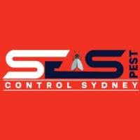 SES Bee Removal Sydney image 10